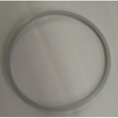Spindle Lip Seal for Big Bore Machines